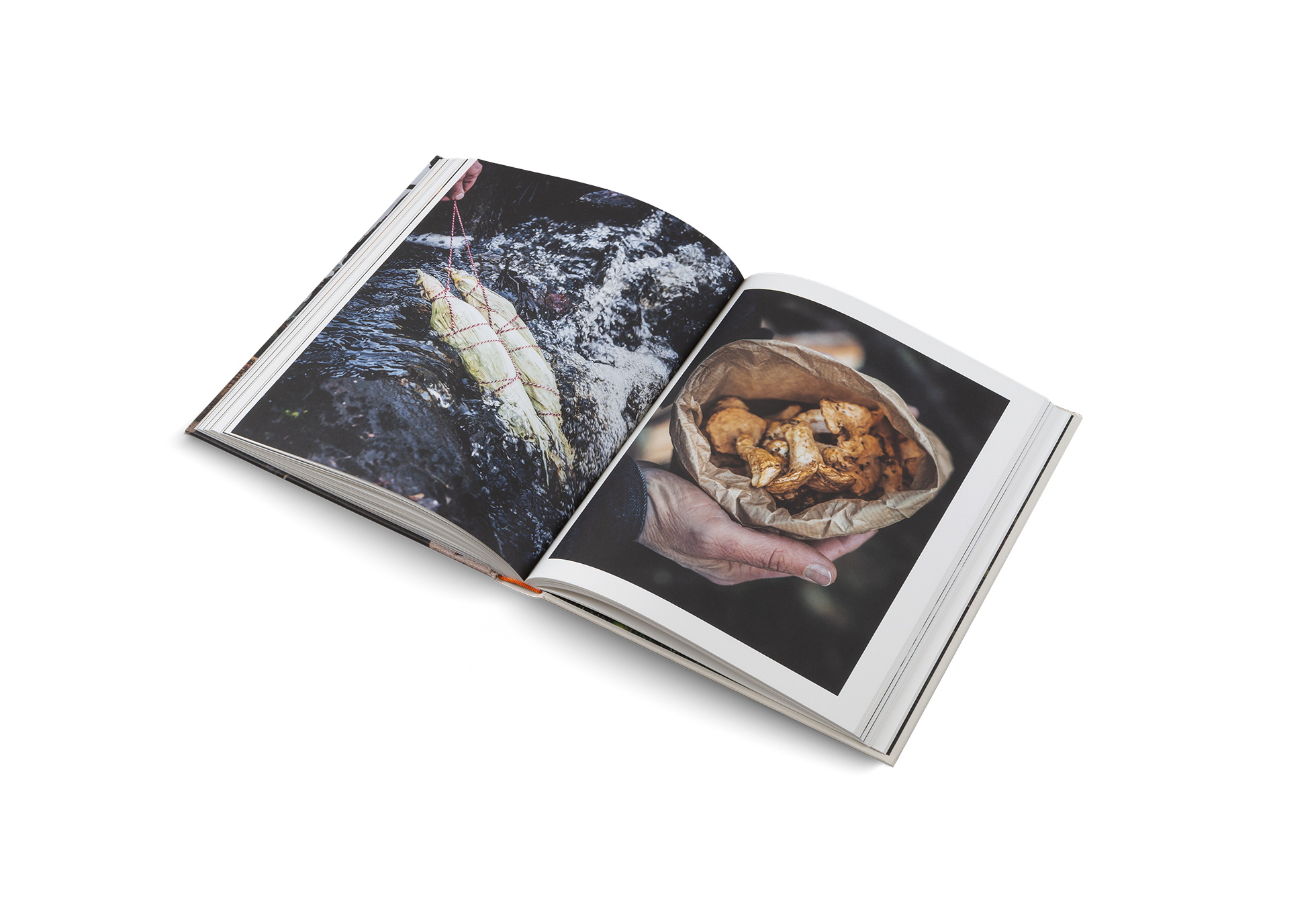 Cooking Greens on Fire